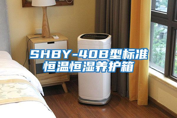 SHBY-40B型标准恒温恒湿养护箱