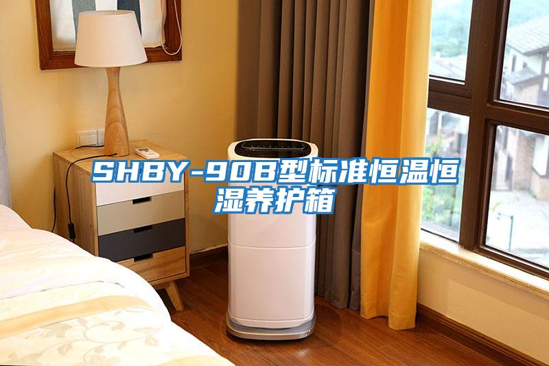 SHBY-90B型标准恒温恒湿养护箱