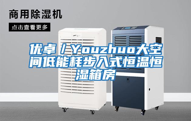 优卓／Youzhuo大空间低能耗步入式恒温恒湿箱房