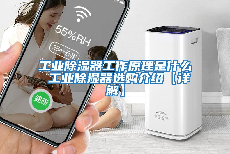 工业除湿器工作原理是什么 工业除湿器选购介绍【详解】