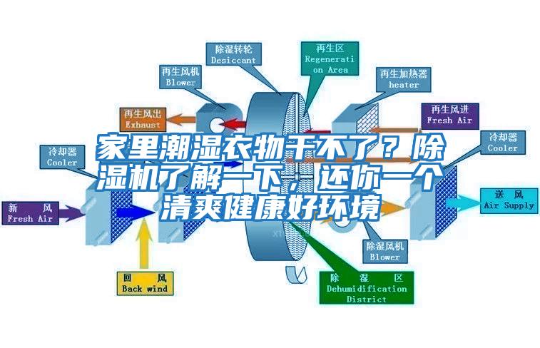 家里潮湿衣物干不了？除湿机了解一下，还你一个清爽健康好环境