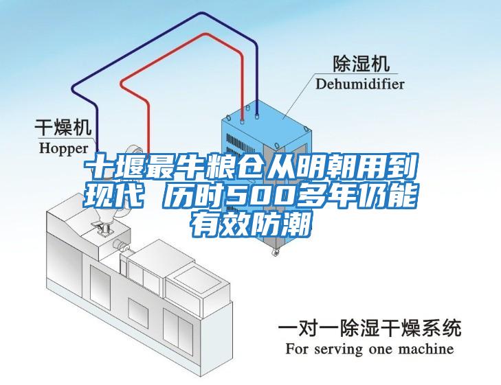 十堰最牛粮仓从明朝用到现代 历时500多年仍能有效防潮