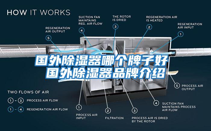 国外除湿器哪个牌子好 国外除湿器品牌介绍