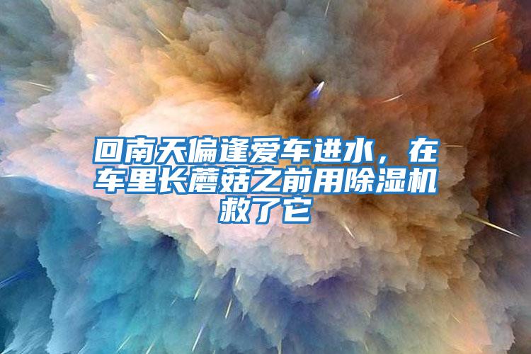 回南天偏逢爱车进水，在车里长蘑菇之前用除湿机救了它