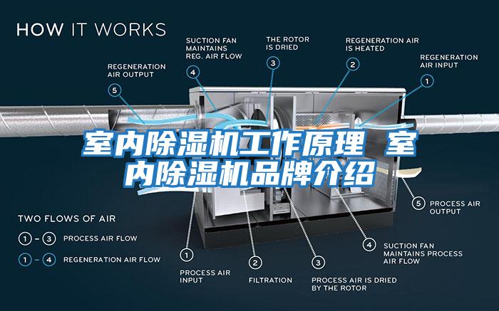 室内除湿机工作原理 室内除湿机品牌介绍