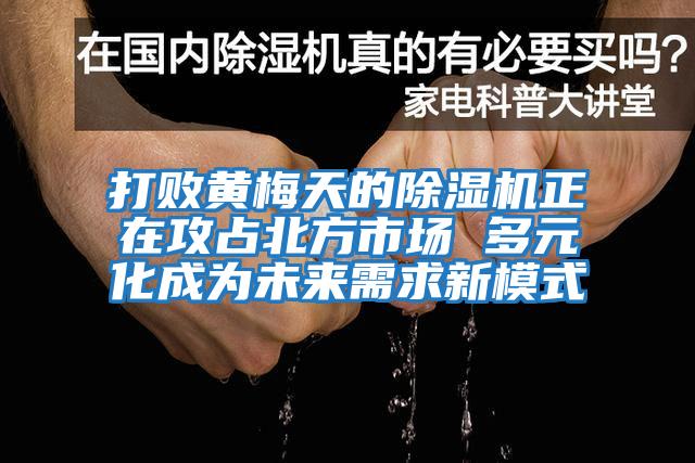 打败黄梅天的除湿机正在攻占北方市场 多元化成为未来需求新模式