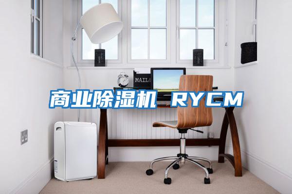 商业除湿机 RYCM