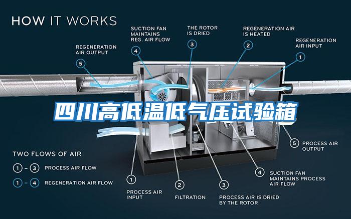 四川高低温低气压试验箱