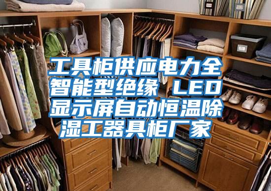 工具柜供应电力全智能型绝缘 LED显示屏自动恒温除湿工器具柜厂家