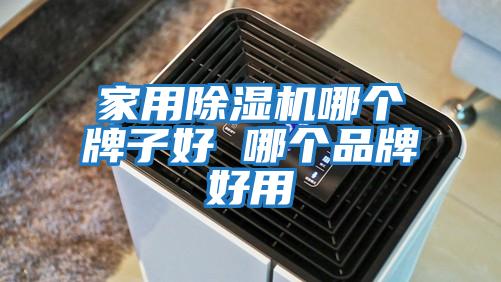 家用除湿机哪个牌子好 哪个品牌好用