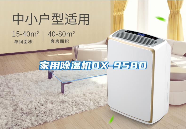 家用除湿机DX-958D