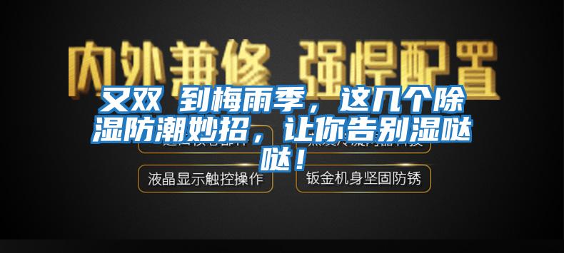 又双叒到梅雨季，这几个除湿防潮妙招，让你告别湿哒哒！