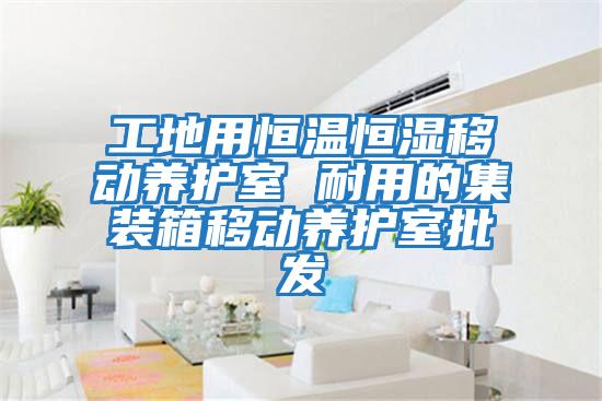 工地用恒温恒湿移动养护室 耐用的集装箱移动养护室批发