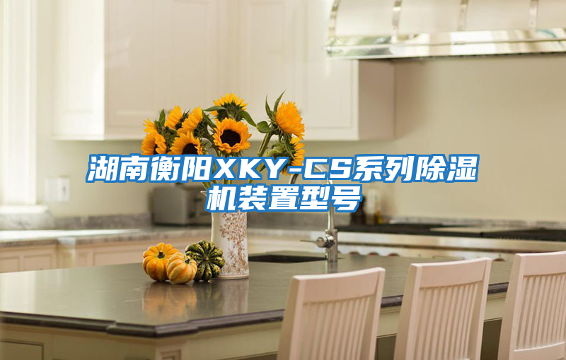 湖南衡阳XKY-CS系列除湿机装置型号