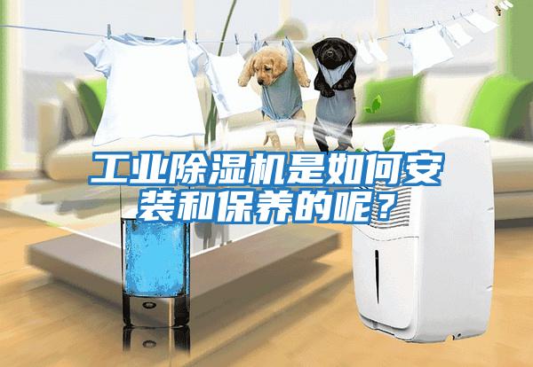 工业除湿机是如何安装和保养的呢？