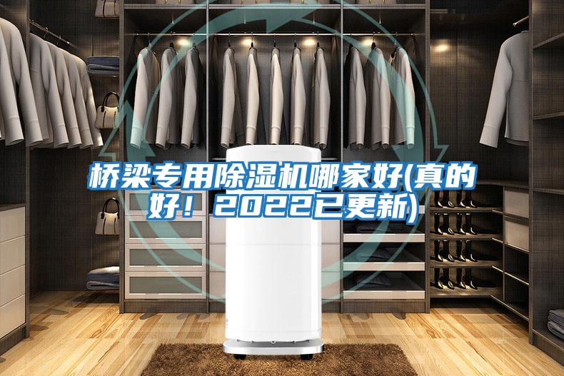 桥梁专用除湿机哪家好(真的好！2022已更新)