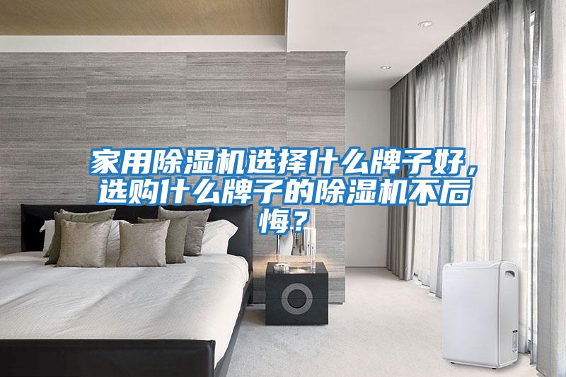 家用除湿机选择什么牌子好，选购什么牌子的除湿机不后悔？