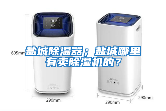 盐城除湿器；盐城哪里有卖除湿机的？