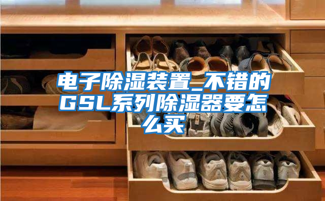 电子除湿装置_不错的GSL系列除湿器要怎么买