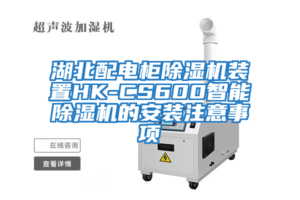 湖北配电柜除湿机装置HK-CS600智能除湿机的安装注意事项