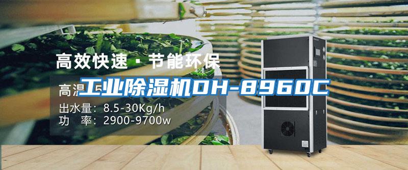 工业除湿机DH-8960C