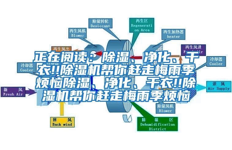 正在阅读：除湿、净化、干衣!!除湿机帮你赶走梅雨季烦恼除湿、净化、干衣!!除湿机帮你赶走梅雨季烦恼