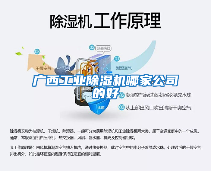 广西工业除湿机哪家公司的好