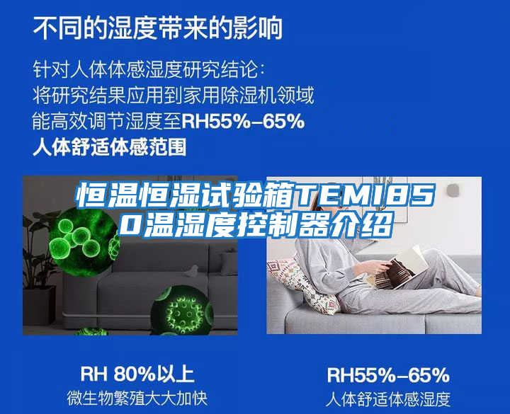 恒温恒湿试验箱TEMI850温湿度控制器介绍