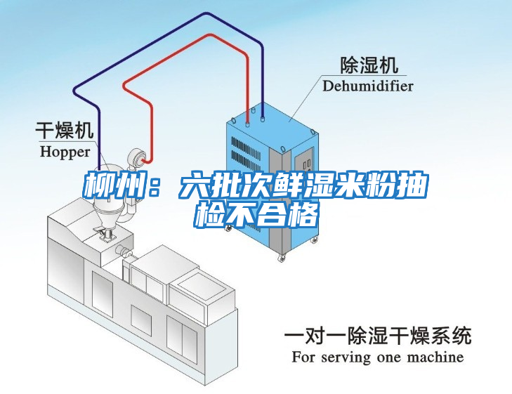 柳州：六批次鲜湿米粉抽检不合格