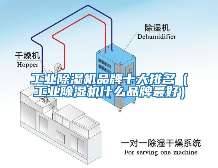 工业除湿机品牌十大排名（工业除湿机什么品牌最好）