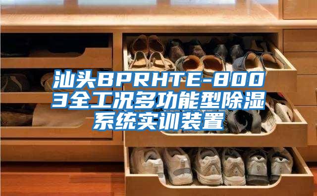 汕头BPRHTE-8003全工况多功能型除湿系统实训装置