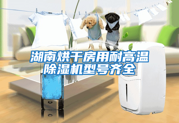 湖南烘干房用耐高温除湿机型号齐全