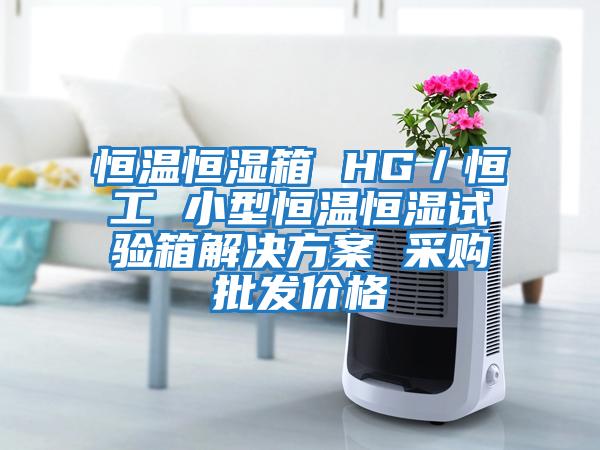 恒温恒湿箱 HG／恒工 小型恒温恒湿试验箱解决方案 采购批发价格