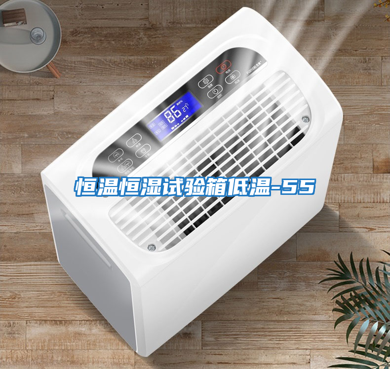 恒温恒湿试验箱低温-55℃