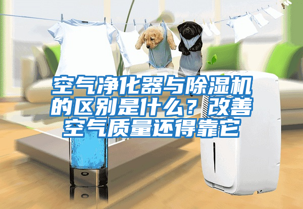 空气净化器与除湿机的区别是什么？改善空气质量还得靠它