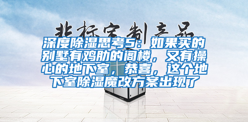 深度除湿思考5：如果买的别墅有鸡肋的阁楼，又有操心的地下室，恭喜，这个地下室除湿魔改方案出现了