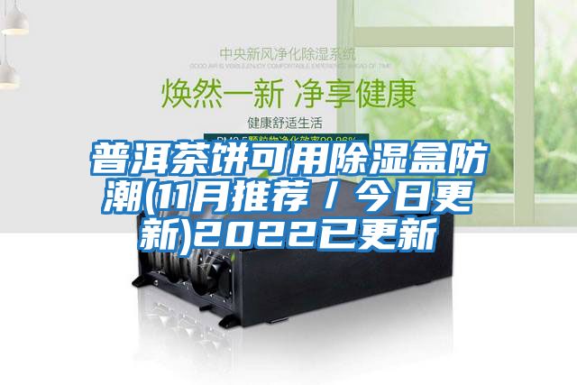 普洱茶饼可用除湿盒防潮(11月推荐／今日更新)2022已更新