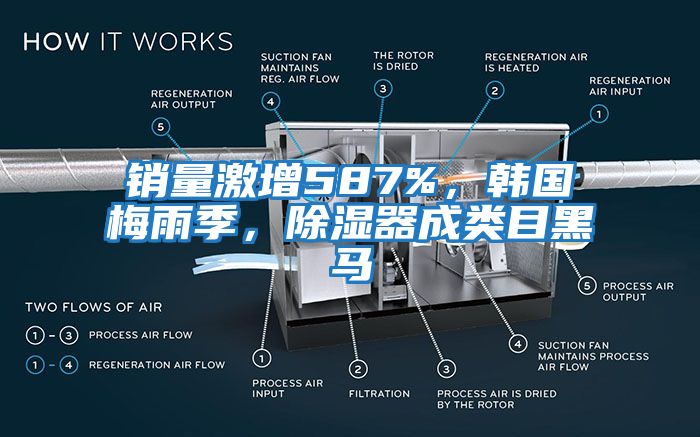 销量激增587%，韩国梅雨季，除湿器成类目黑马