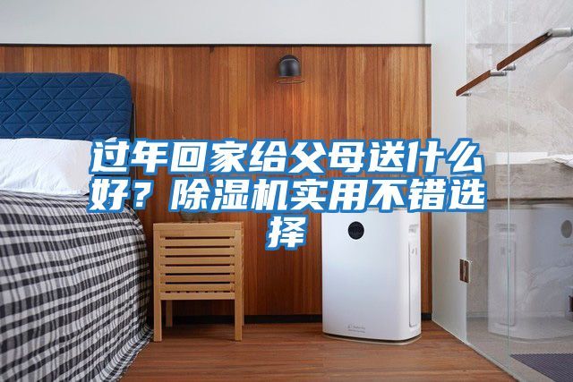 过年回家给父母送什么好？除湿机实用不错选择