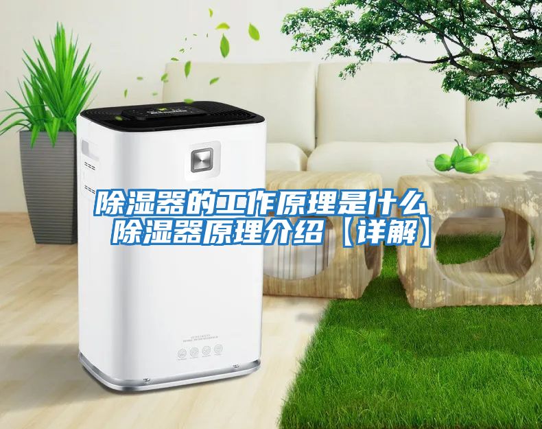 除湿器的工作原理是什么 除湿器原理介绍【详解】