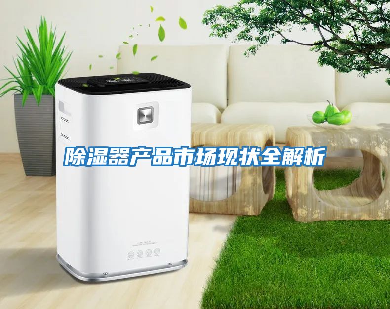 除湿器产品市场现状全解析