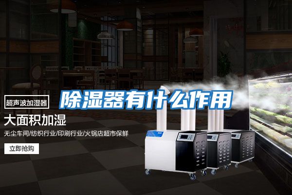 除湿器有什么作用