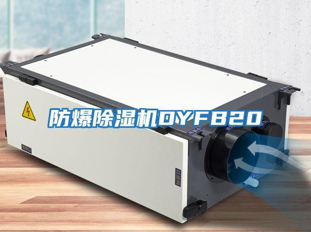 防爆除湿机DYFB20