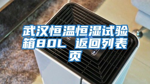 武汉恒温恒湿试验箱80L 返回列表页