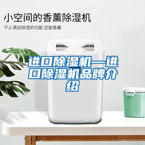 进口除湿机—进口除湿机品牌介绍