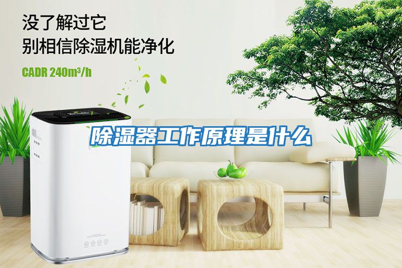 除湿器工作原理是什么