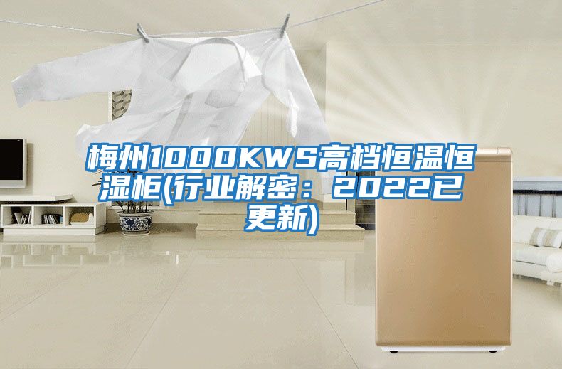 梅州1000KWS高档恒温恒湿柜(行业解密：2022已更新)