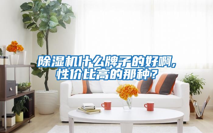 除湿机什么牌子的好啊,性价比高的那种？