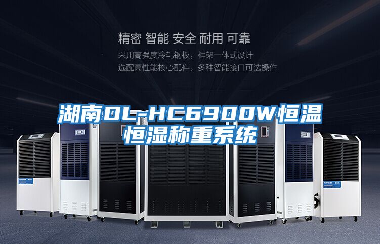 湖南DL-HC6900W恒温恒湿称重系统