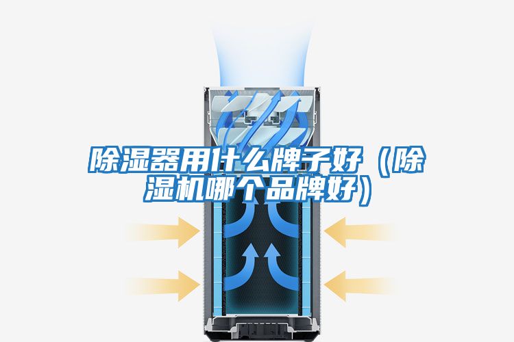 除湿器用什么牌子好（除湿机哪个品牌好）